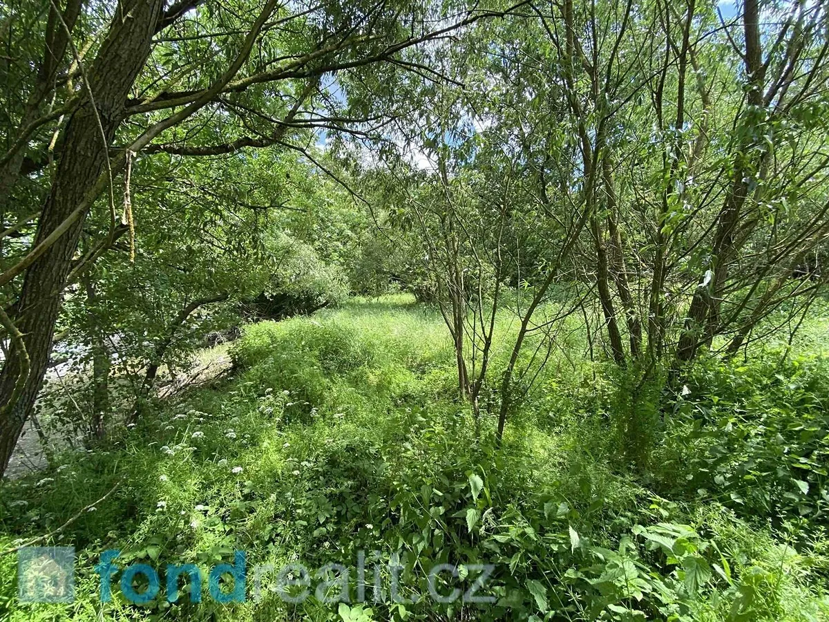 Prodej pozemku 3784 m²